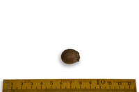 F 03537
<br/>
<br/>
<em></em>